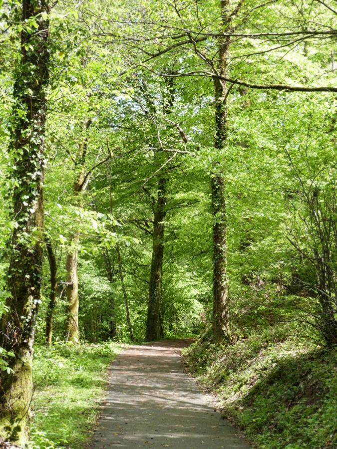 Lumineuse Maison Neuve, Cosy,67M², 2 Chambres/6 Couchages 1Km Lac, 200M Du Bourg. Vue Paisible, Sur La Nature Saint-Pardoux-lʼOrtigier 外观 照片